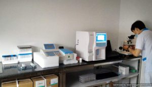 chăm sóc thú cưng tphcm