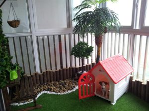 chăm sóc thú cưng tphcm